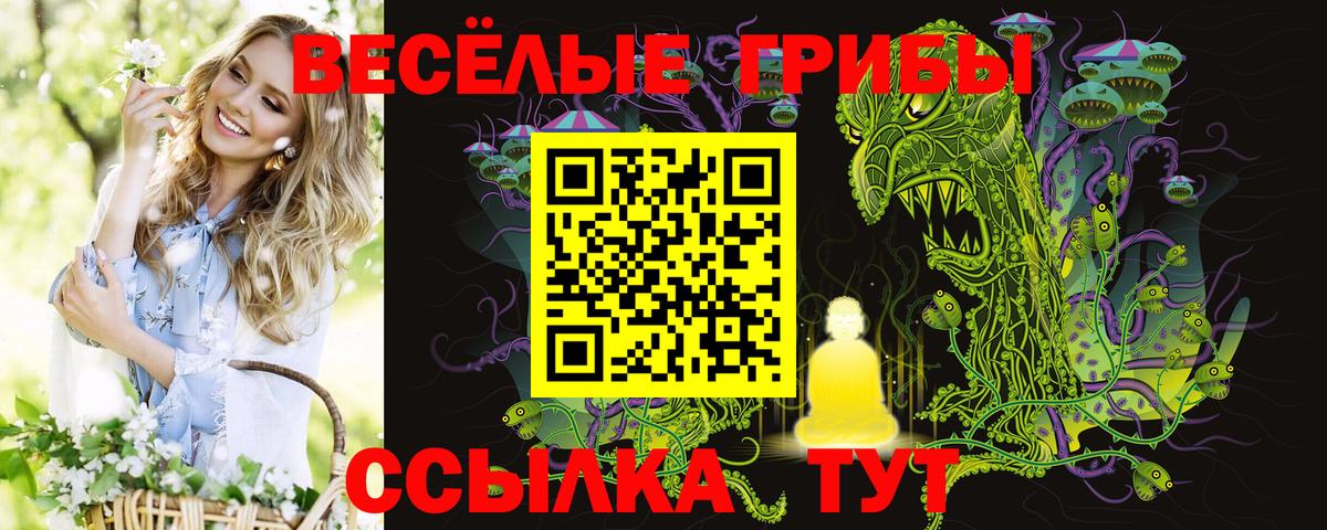 Красноперекопск  Псилоцибиновые грибы Psilocybe  Вход с VPN 